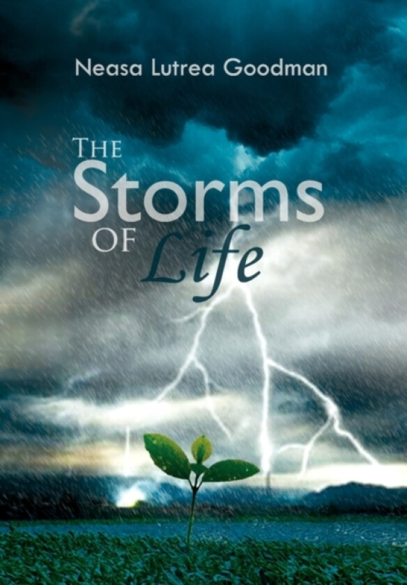 The Storms of Life av Neasa Lutrea Goodman (Paperback)