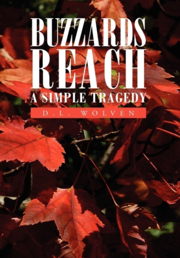 Buzzards Reach av D L Wolven (Paperback)