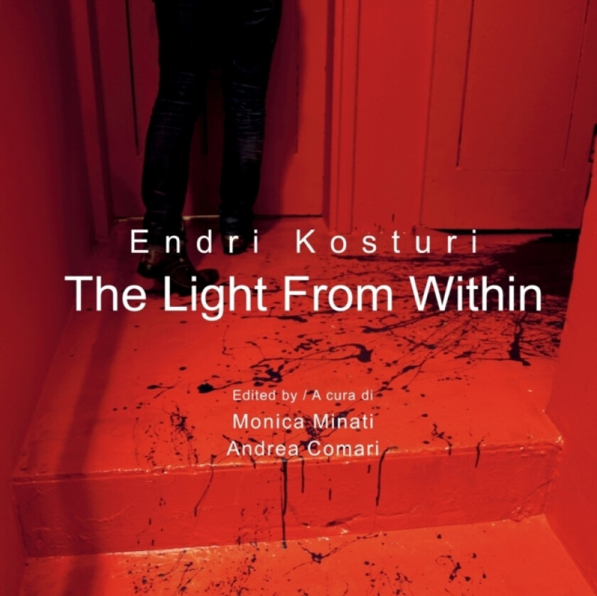 The Light From Within av Monica Minati Andrea Comari (Paperback)