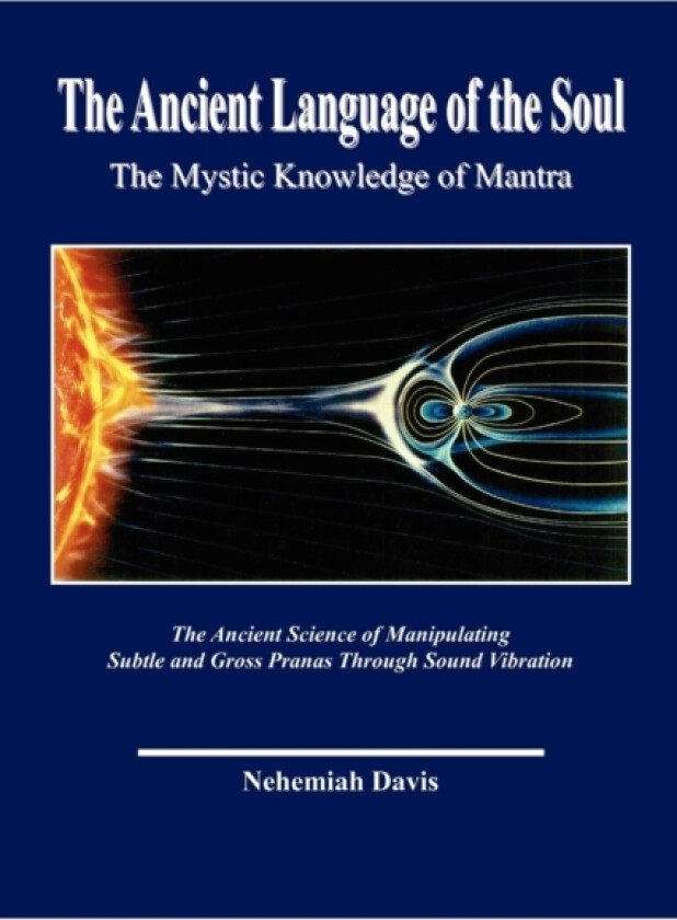The Ancient Language of the Soul av Nehemiah Davis (Paperback)