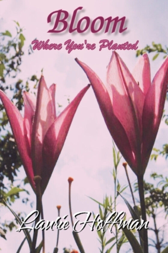 Bloom Where You're Planted av Laurie Hoffman (Paperback)
