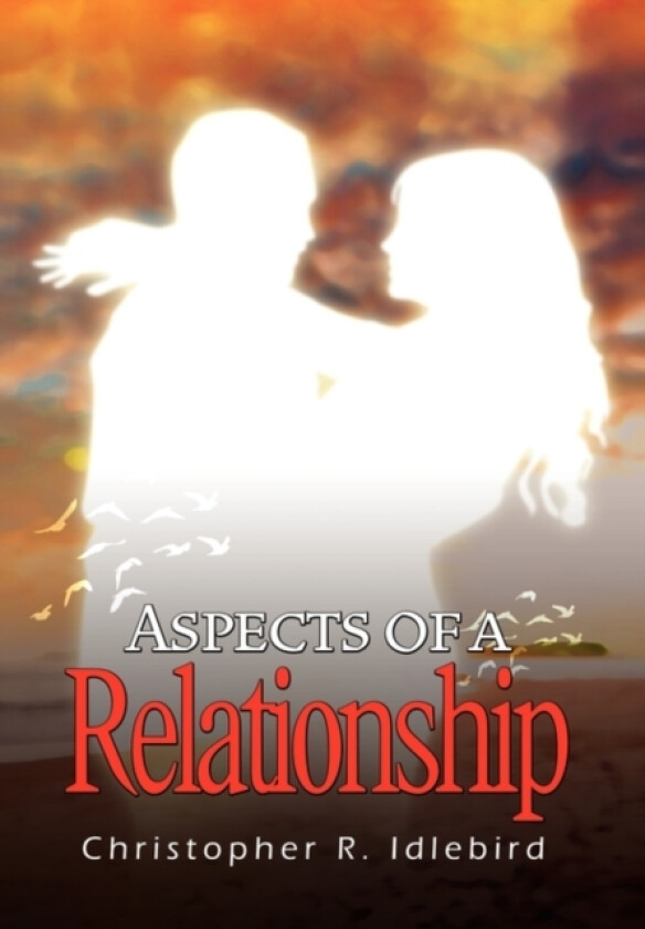 Aspects of a Relationship av Christopher R Idlebird (Hardcover)