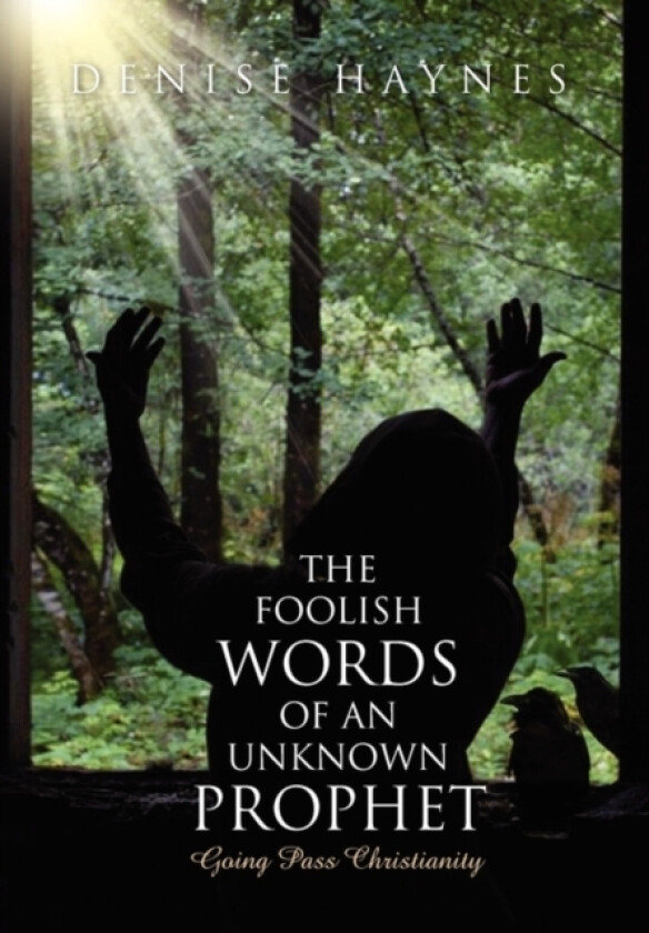 The Foolish Words Of An Unknown Prophet av Denise Haynes (Paperback)