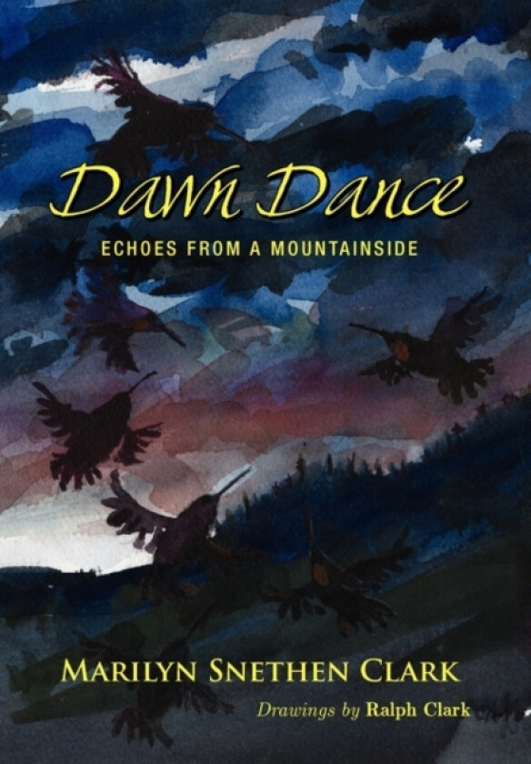 Dawn Dance av Marilyn Snethen Clark (Hardcover)
