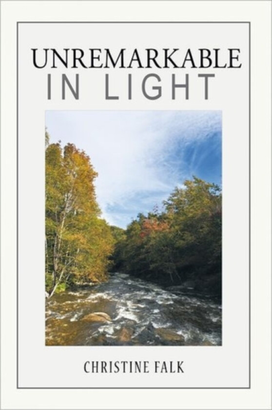 Unremarkable in Light av Christine Falk (Paperback)