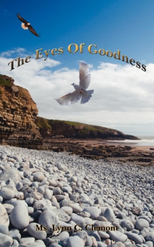 The Eyes Of Goodness av MS Lynn C Clemont (Paperback)
