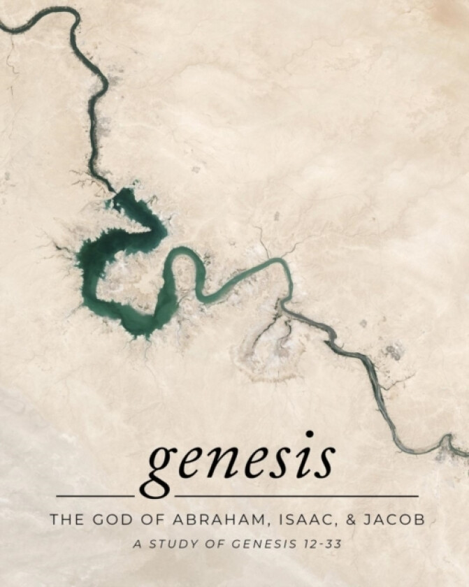 Genesis 12-33 av Carmen Beasley (Paperback)