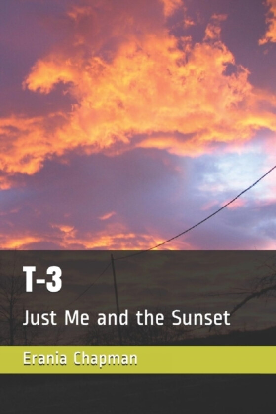 T-3 Just Me and the Sunset av Yolanda Jackson, Lisa Scarberry, Integrative Ink (Paperback)