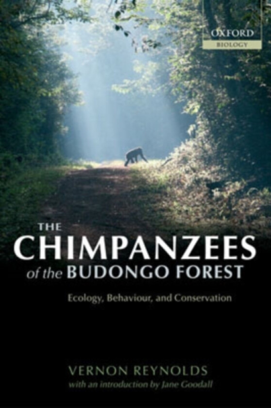 The Chimpanzees of the Budongo Forest av Vernon Reynolds (Paperback)