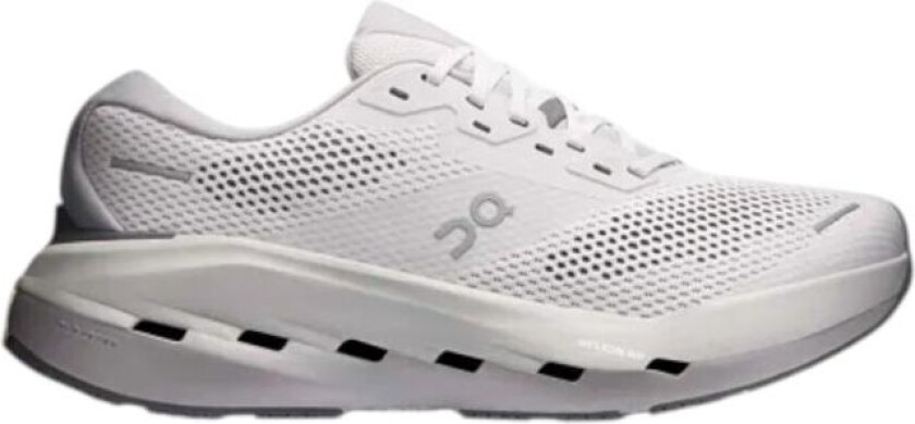 Cloudrunner 3 Max