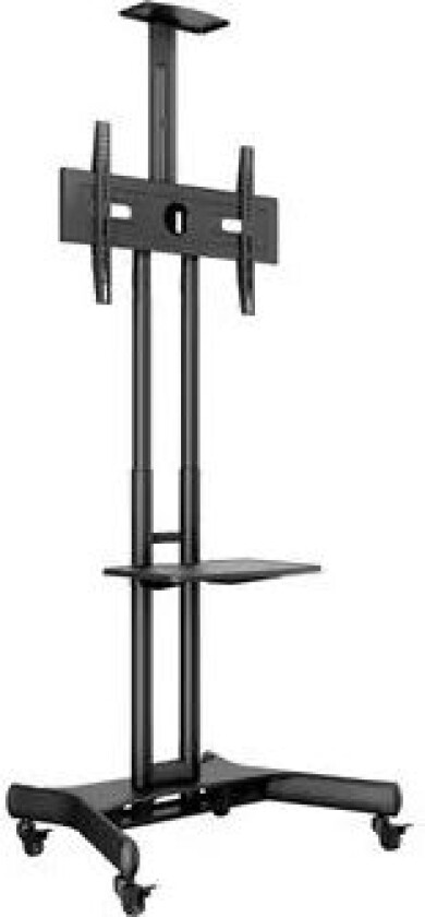 M Public Floorstand Basic