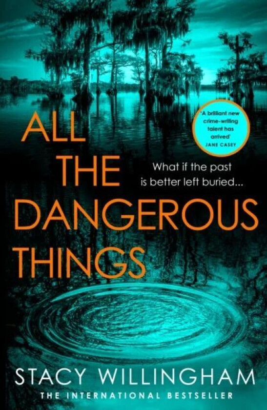 All the Dangerous Things av Stacy Willingham