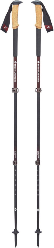 W Alpine Carbon Cork Trek Poles Rhone One Size