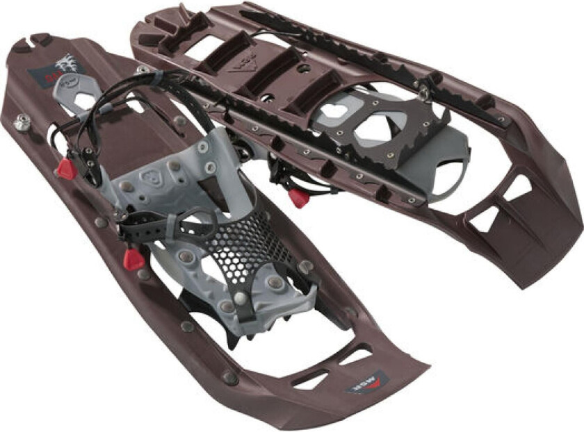Msr Evo Trail Iron 22