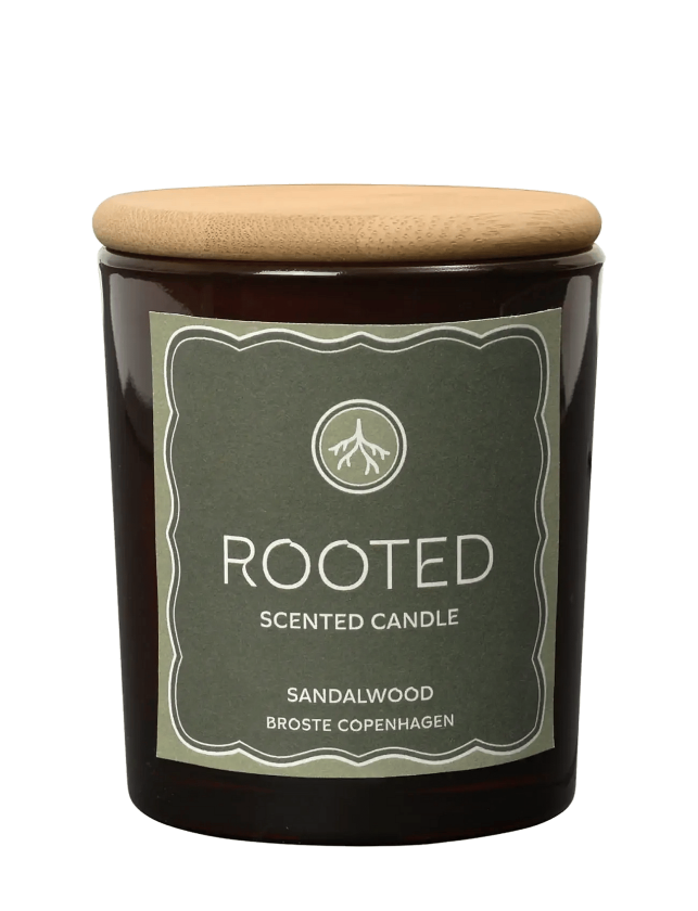 Pure Scented Candle 'Rooted' - Brown - H 8.3CM