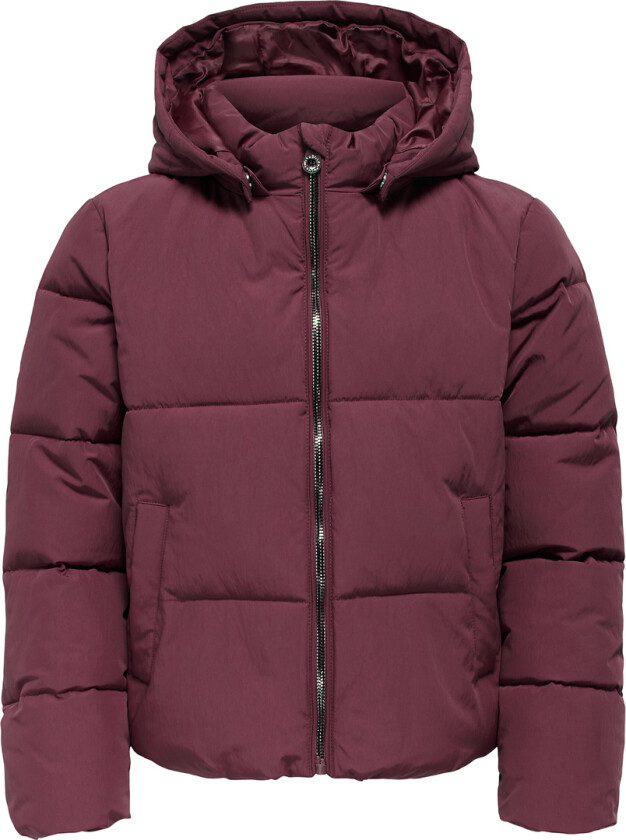Polstret Jakke - Noos - CookDolly - Mauve Wine - - 9 år (134) - Dunjakke