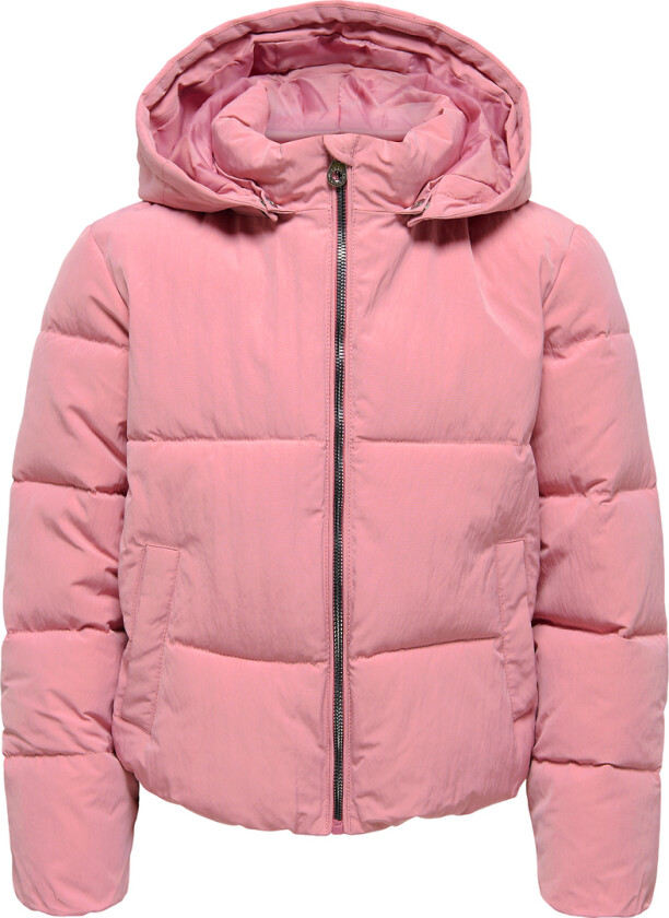 Polstret Jakke - Noos - CookDolly - Foxglove - - 14 år (164) - Dunjakke