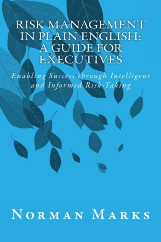 Risk Management in Plain English av Norman Marks (Paperback)