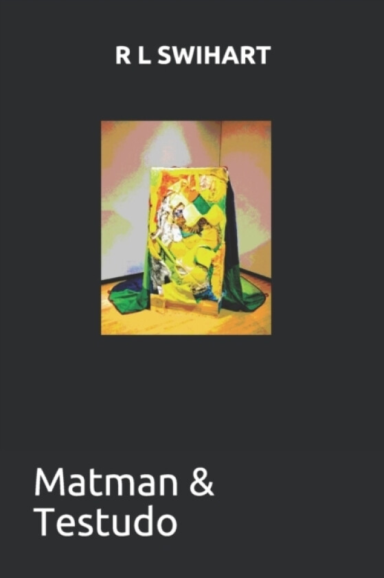 Matman & Testudo av R L Swihart (Paperback)