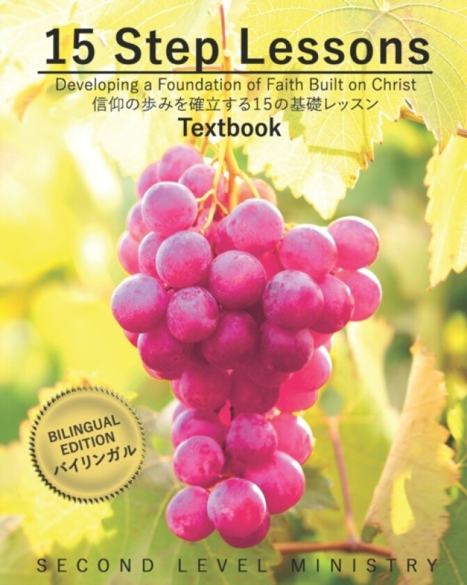 15 Step Lessons av Second Level Ministry (Paperback)