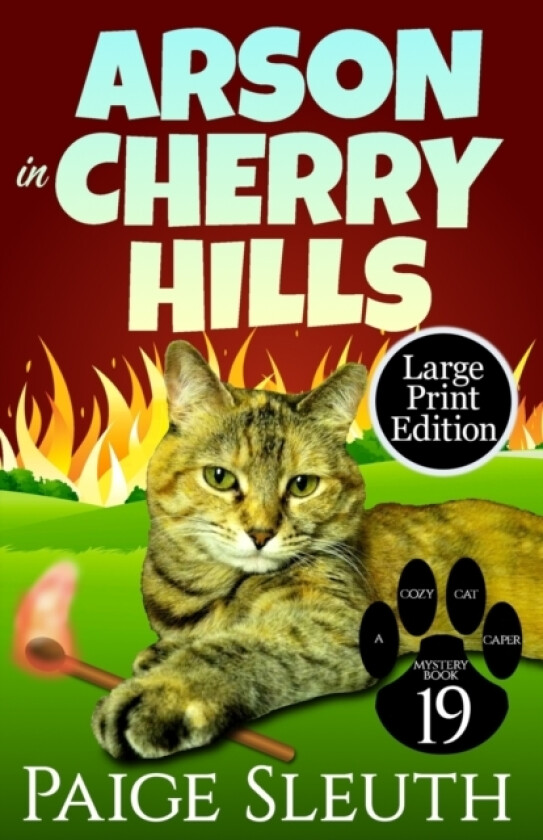 Arson in Cherry Hills av Paige Sleuth (Paperback)