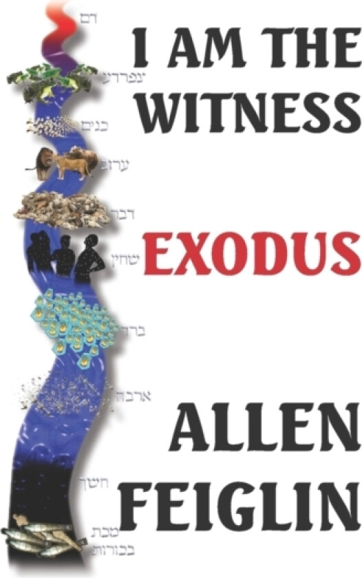 I Am The Witness av Allen Feiglin (Paperback)