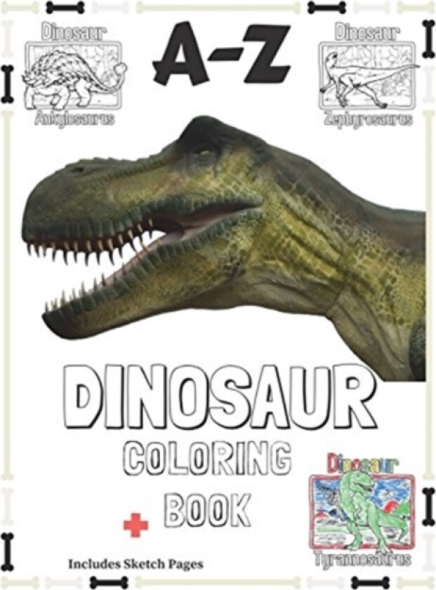 A-Z Dinosaur Coloring Book av Rory Hurst McGowan, Shea Hurst McGowan (Paperback)