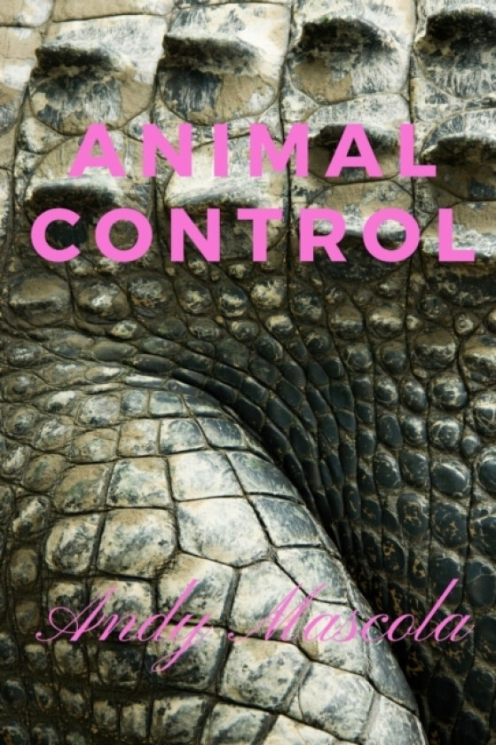 Animal Control av Andy Mascola (Paperback)