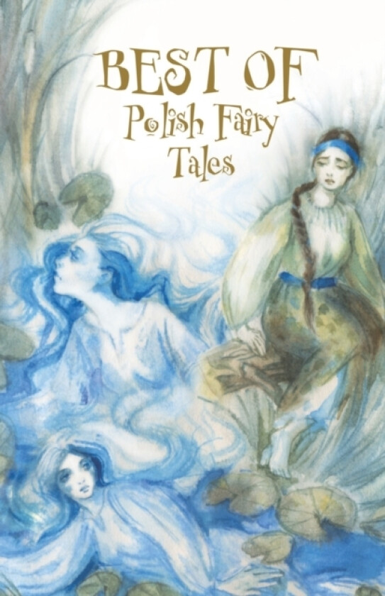 Best of Polish Fairy Tales av Sergiej Nowikow (Paperback)