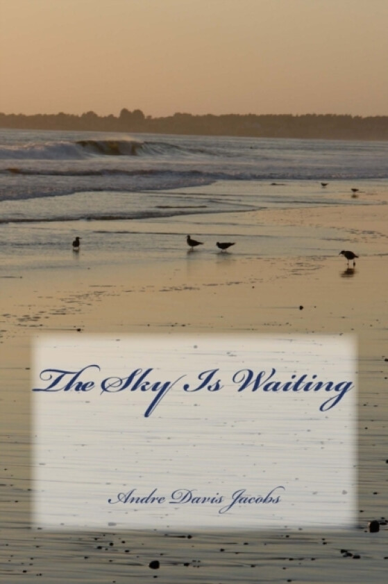 The Sky Is Waiting av Andre Davis Jacobs (Paperback)