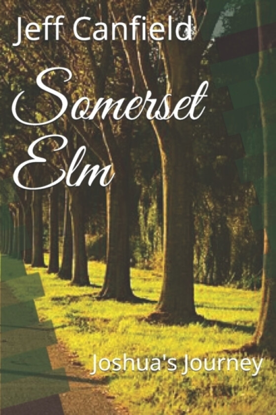 Somerset Elm av Jeff Canfield (Paperback)