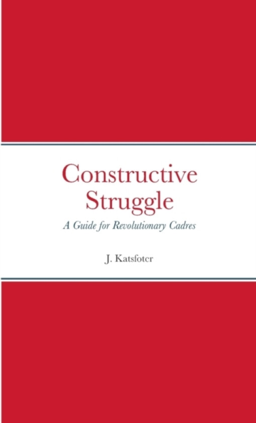 Constructive Struggle av J Katsfoter (Paperback)