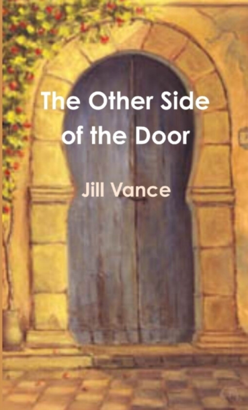 The Other Side of the Door av Jill Vance (Paperback)