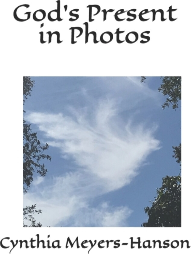 God's Present in Photos av Cynthia Meyers-Hanson (Paperback)
