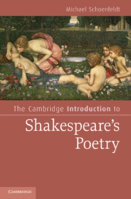 The Cambridge Introduction to Shakespeare's Poetry av Michael Schoenfeldt (Hardcover)