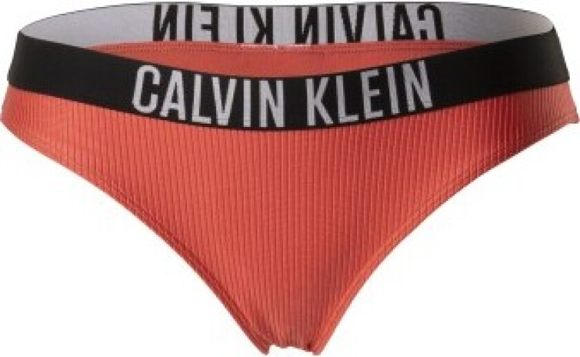 Calvin Klein Intense Power Rib Bikini Plus Brief