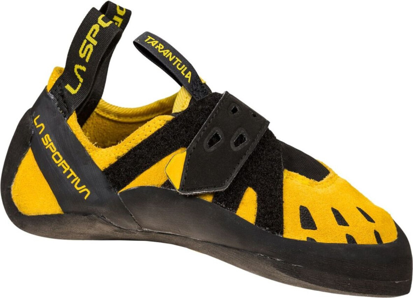 Juniors' Tarantula 27, Yellow/Black