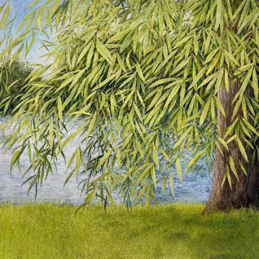 Martin Simpson Nothing But Green Willow : The Songs Of Mary Sands CD