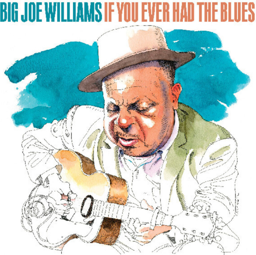 Big Joe Williams If You Ever Had The Blues CD