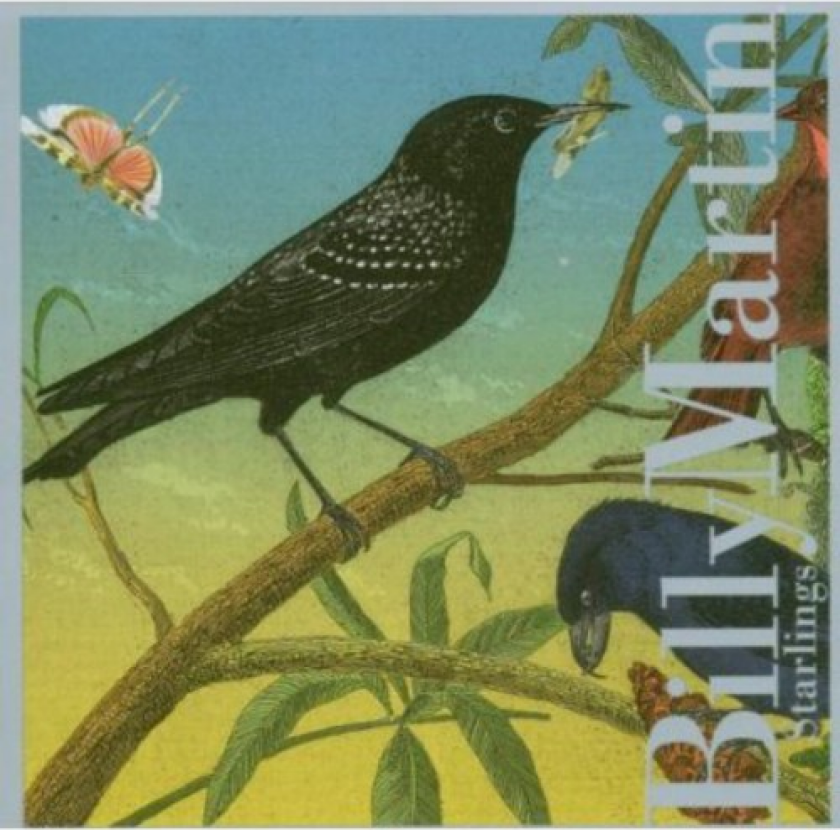 Billy Martin Starlings CD