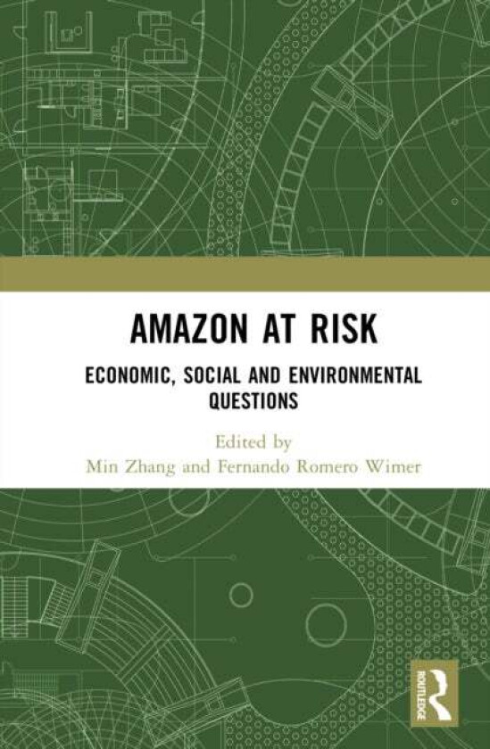 Amazon at Risk