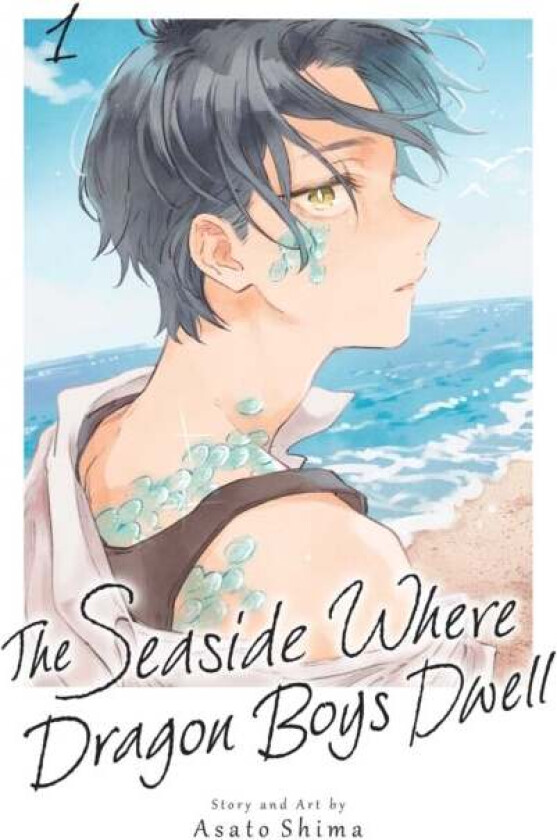 The Seaside Where Dragon Boys Dwell, Vol. 1 av Asato Shima
