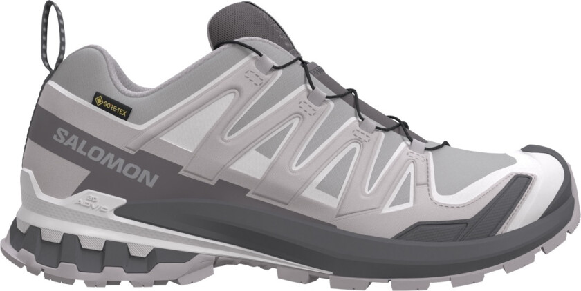Women's XA Pro 3d V9 GORE-TEX Alloy / Castlerock / Lunar Rock