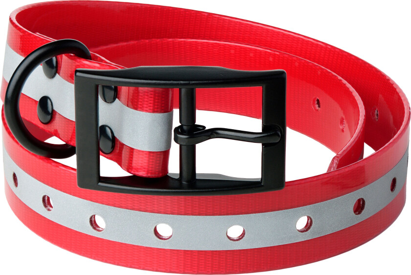 Dog Collar Reflective OneSize, Red