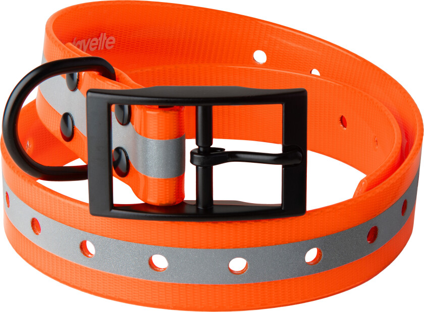 Dog Collar Reflective OneSize, Orange