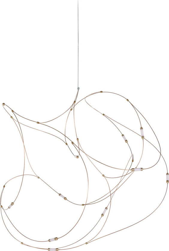 Flock of Light 11Flock of Light 11