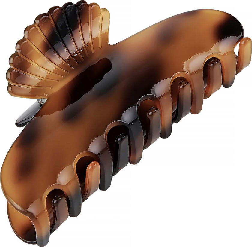 Corall Hair Claw Tortoise