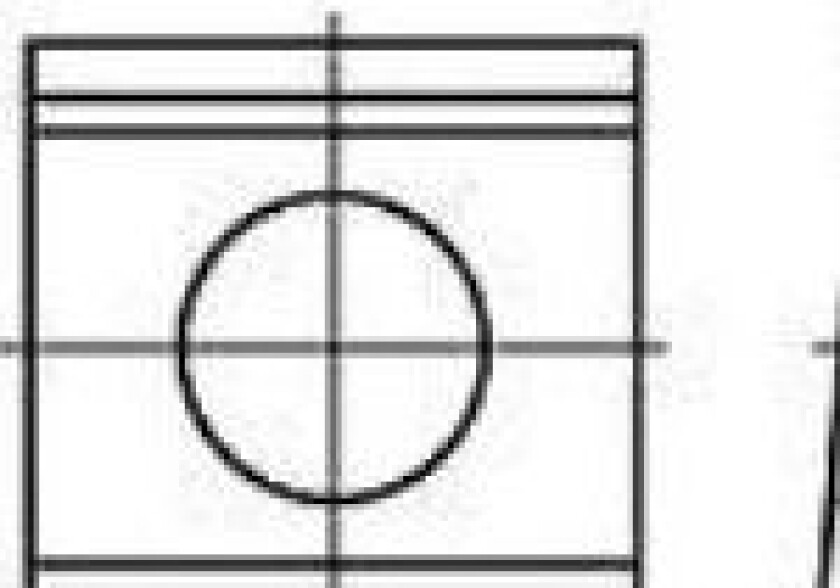Remskiver Stål Galvaniseret 100 stk TOOLCRAFT 106725
