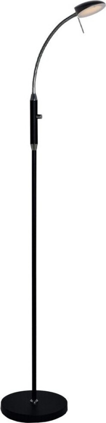 - Vegas Gulvlampe w/Dimmer Black