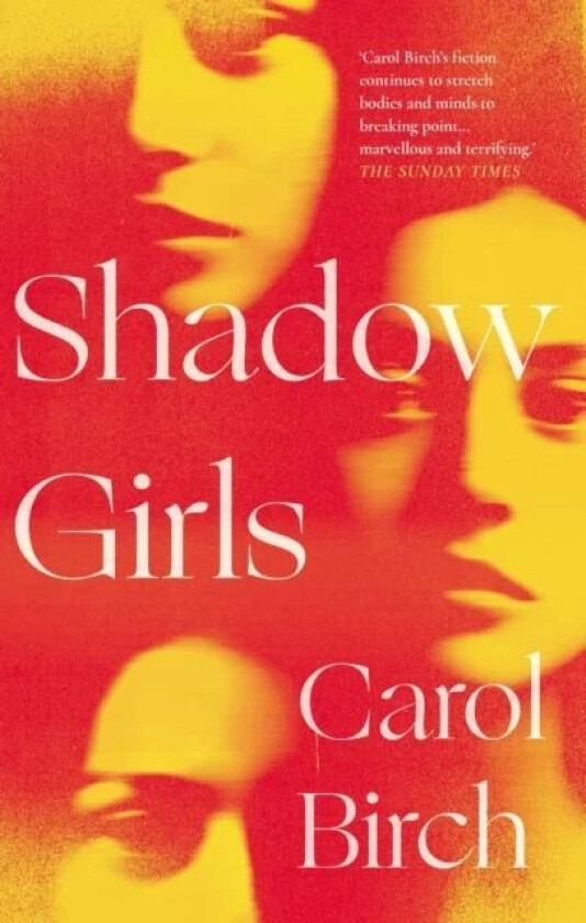 Shadow Girls av Carol Birch